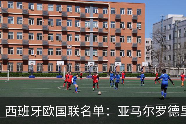 西班牙欧国联名单：亚马尔罗德里领衔 加维落选